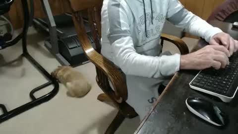 Snapshot of billy471 chatting on 23, 1, 2025 billy471 online show from 23, 1, 2025