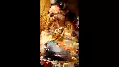 bina241986 online show from 10, 6, 2026