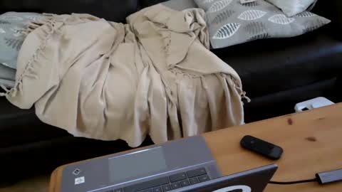 Snapshot of bindmedown chatting on 17, 1, 2025 bindmedown online show from 17, 1, 2025