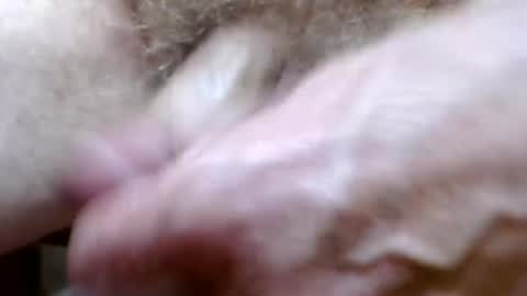 bitexan69 online show from 20, 9, 2025