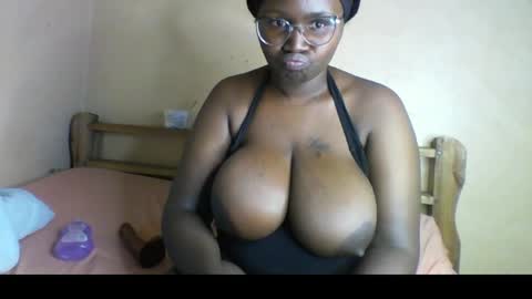 black_amor online show from 7, 8, 2026