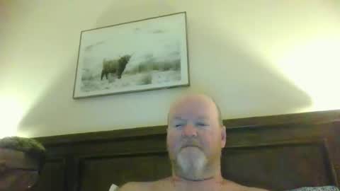 black_n_white4 online show from 9, 5, 2026