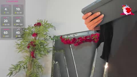 B L A C K  R O S E  online show from 20, 2, 2025