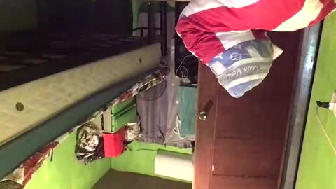 Snapshot of blackasiancockts chatting on 20, 2, 2026 Crystal online show from 20, 2, 2026