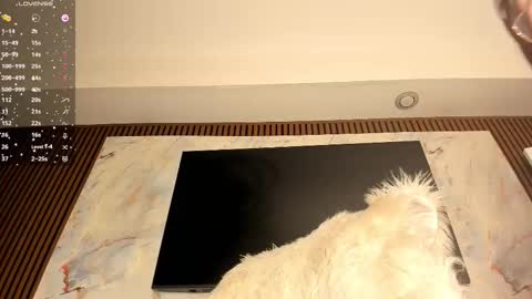 Karina online show from 20, 2, 2026