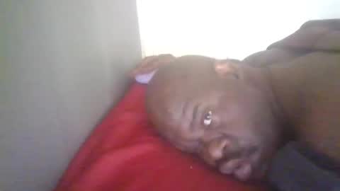 blackteddybear online show from 7, 3, 2026