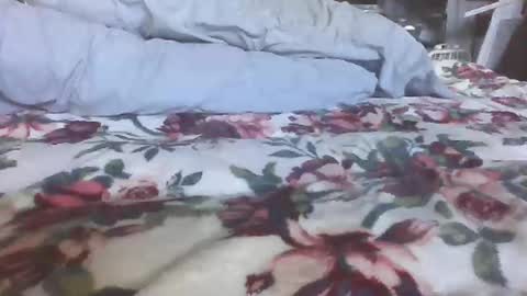 Snapshot of blame1269 chatting on 27, 10, 2025 blame1269 online show from 27, 10, 2025