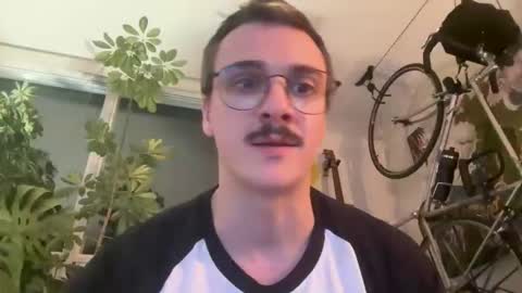 blamingos online show from 27, 2, 2026