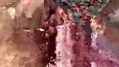 bleez75 online show from 16, 2, 2026