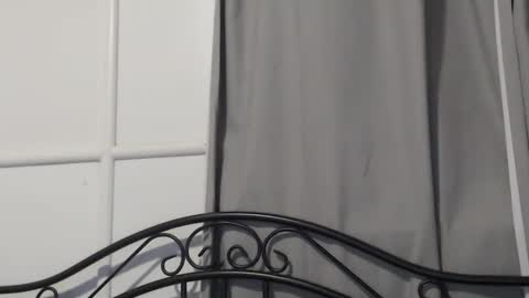 bob online show from 15, 12, 2024