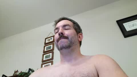 Bobchmw online show from 24, 6, 2026