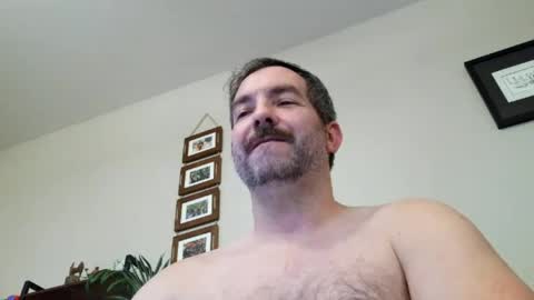 Bobchmw online show from 25, 6, 2026