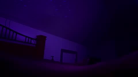 Snapshot of bodiddly64 chatting on 12, 10, 2025 bodiddly64 online show from 12, 10, 2025