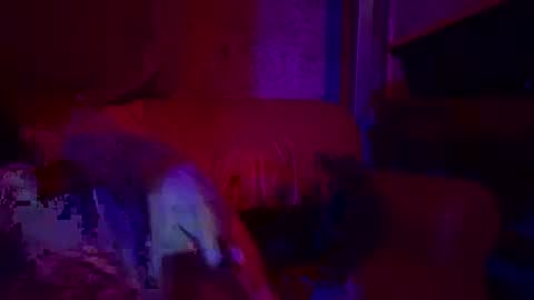 Sailorartemis online show from 26, 4, 2026