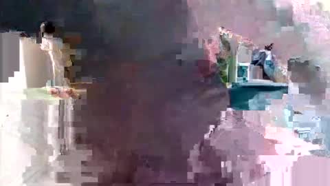 bolbil1 online show from 12, 1, 2025