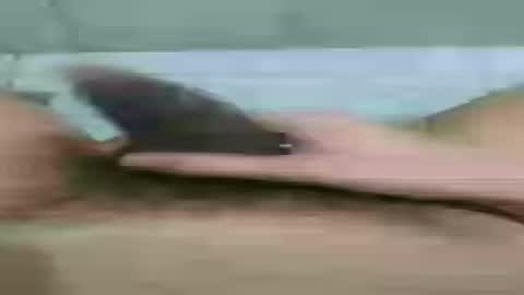 bonnie_021 online show from 4, 8, 2026