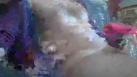 Snapshot of bonnieclyde90 chatting on 12, 10, 2025 bonnieclyde90 online show from 12, 10, 2025