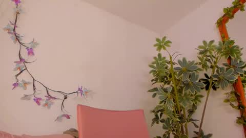   online show from 26, 2, 2026