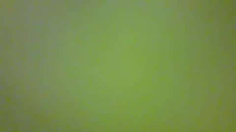 Snapshot of bonniediamond chatting on 30, 10, 2025 bonniediamond online show from 30, 10, 2025