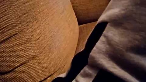 bonny8723 online show from 18, 10, 2025