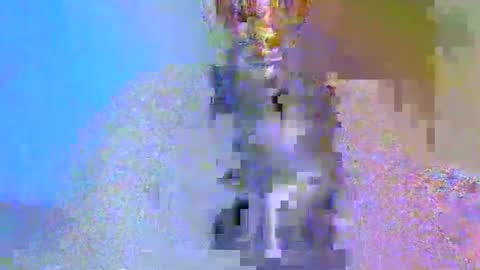 boobbyb online show from 24, 10, 2025