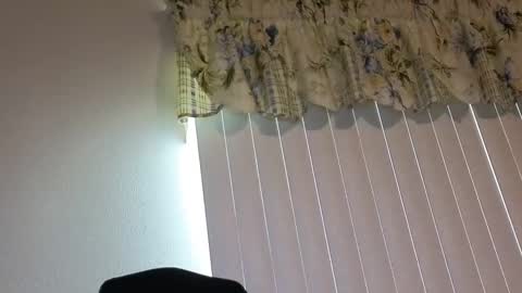 sissy slut boobi online show from 21, 4, 2026