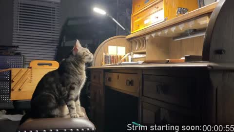 Booker Baxton online show from 9, 1, 2025