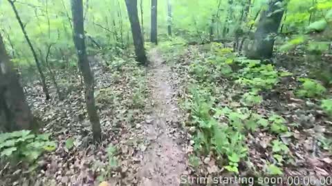 Booker Baxton online show from 5, 11, 2025