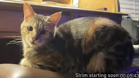 Booker Baxton online show from 5, 2, 2026