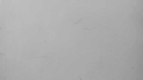 Maggie and Jay  online show from 11, 1, 2025