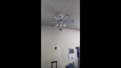 Snapshot of bootieou22 chatting on 23, 3, 2026 bootieou22 online show from 23, 3, 2026