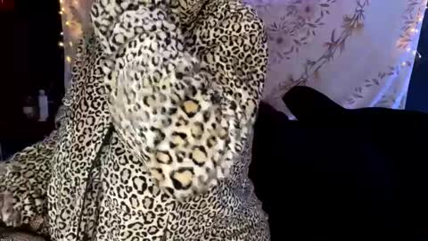 BossMom online show from 13, 12, 2024