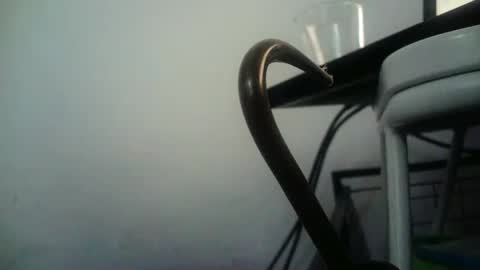 Snapshot of bottommlad chatting on 9, 1, 2025 BottoMMlad online show from 9, 1, 2025