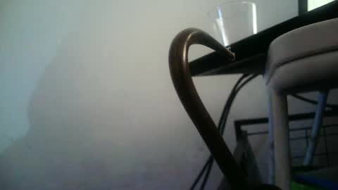 Snapshot of bottommlad chatting on 10, 1, 2025 BottoMMlad online show from 10, 1, 2025