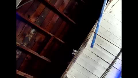 Snapshot of bouncr714 chatting on 26, 2, 2026 bouncr714 online show from 26, 2, 2026