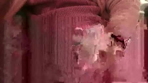 bowieboy online show from 4, 11, 2025