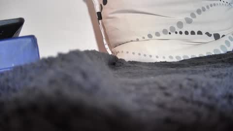 Snapshot of boy3911 chatting on 11, 2, 2025 boy3911 online show from 11, 2, 2025