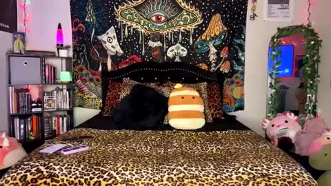 Puddin online show from 24, 2, 2025