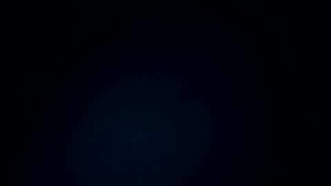 brad444444 online show from 3, 11, 2025