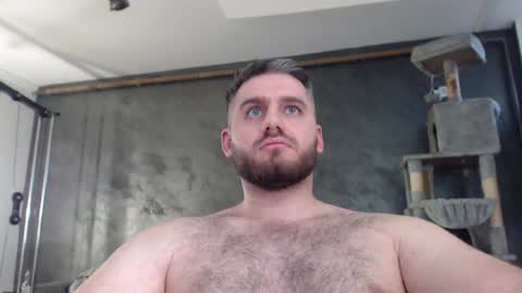 Snapshot of brad_pittfall chatting on 5, 12, 2024 ask me online show from 5, 12, 2024