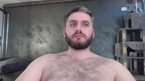 Snapshot of brad_pittfall chatting on 19, 12, 2024 ask me online show from 19, 12, 2024