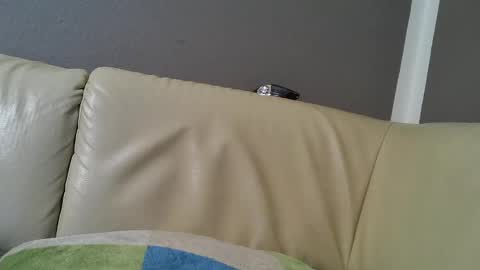 Snapshot of bramer8787 chatting on 9, 2, 2025 bramer8787 online show from 9, 2, 2025