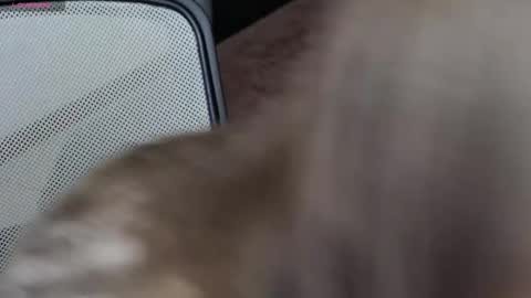 Snapshot of brandy_gem chatting on 10, 2, 2026 Brandy Gem online show from 10, 2, 2026