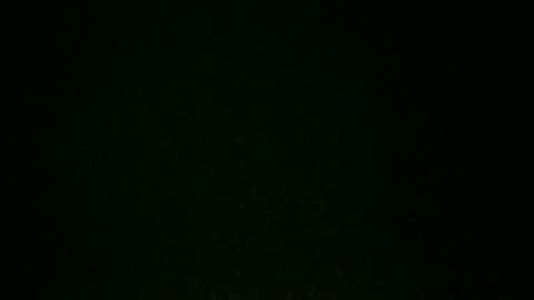 branngnu online show from 8, 9, 2025