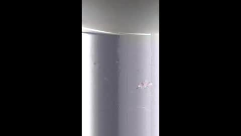 BeautifulDisasterxxx online show from 23, 3, 2026