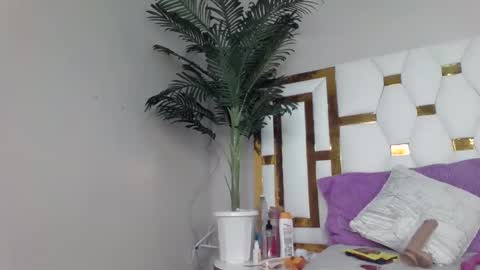 Snapshot of brennan007 chatting on 26, 2, 2025 brennan online show from 26, 2, 2025