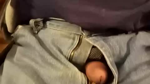 BB online show from 8, 2, 2026