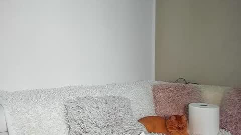 brianadiamondxxx online show from 9, 7, 2026
