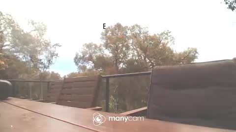 Fun Monster online show from 16, 10, 2025