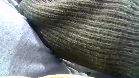 Josh online show from 31, 12, 2024